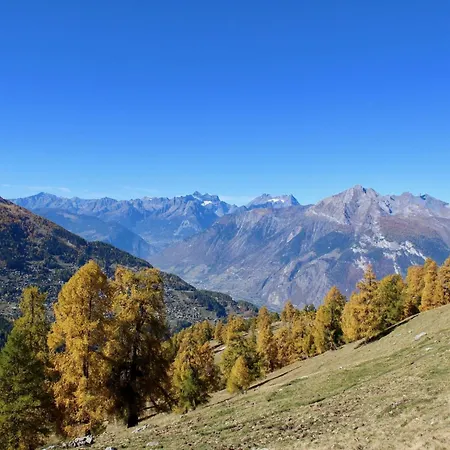 Amazing With Balcony Appartamento Nendaz